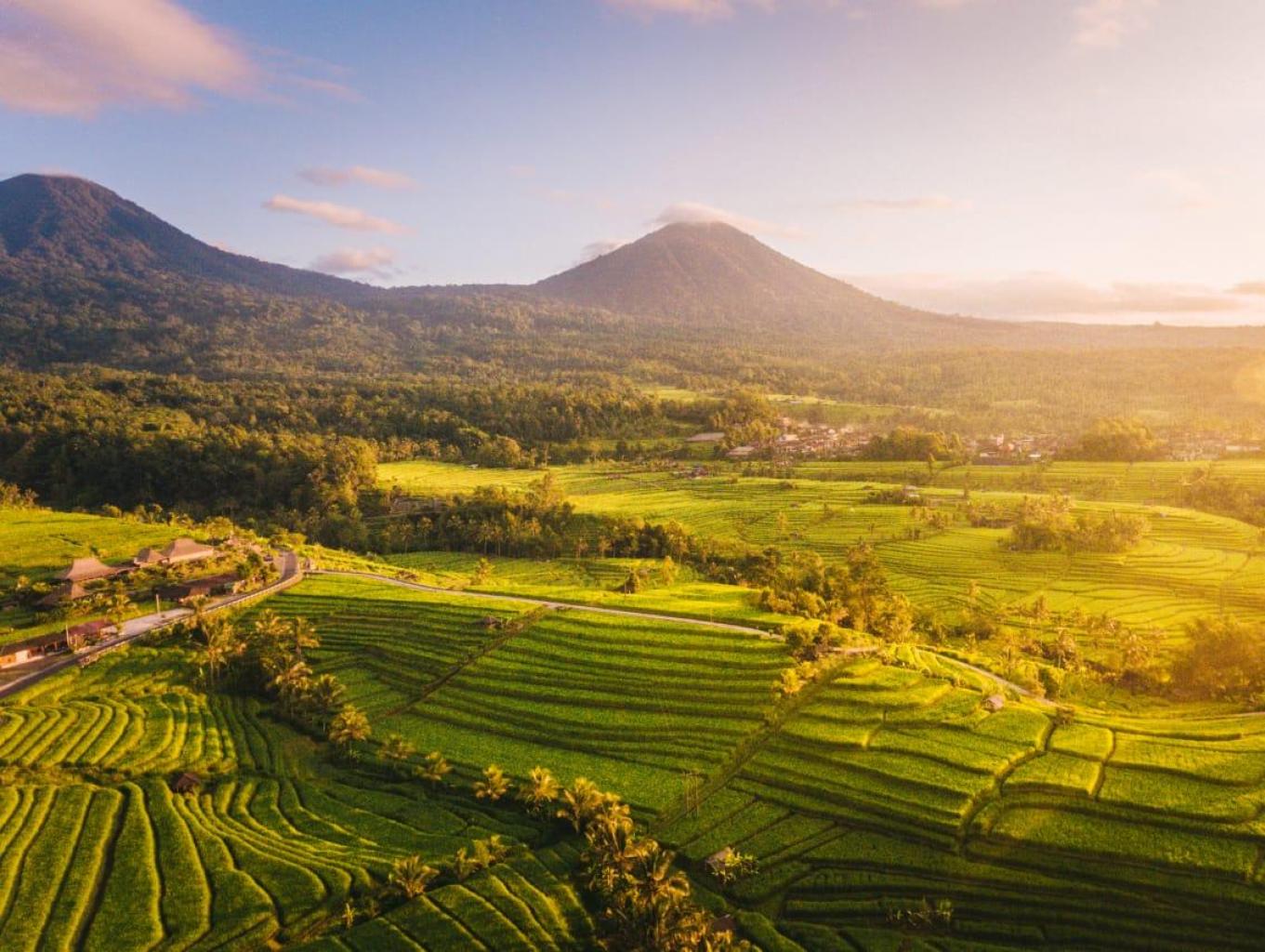 Alam Desa Kuning yang Asri